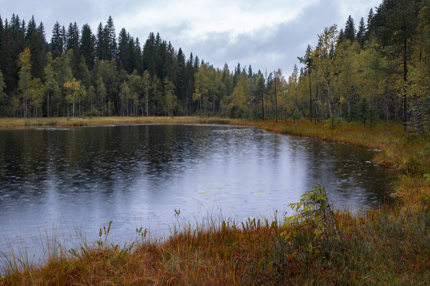 koli-20260909132506-DSCF0027-janine-wenzel.jpg