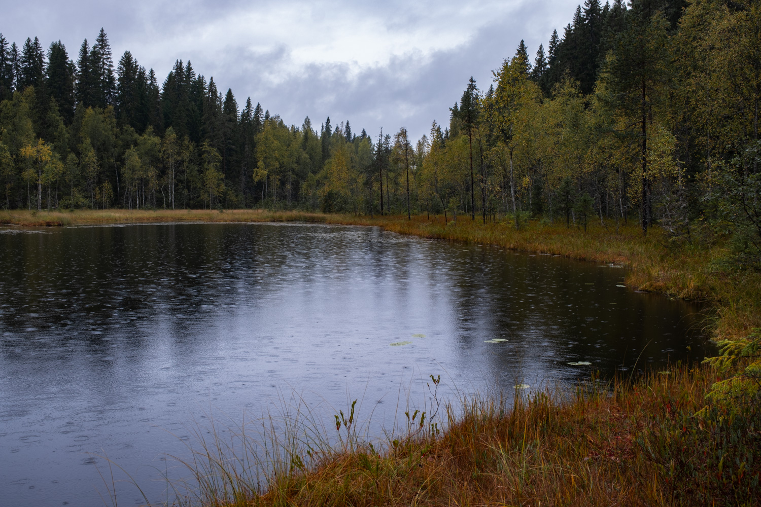 koli-20260909132522-DSCF0028-janine-wenzel.jpg
