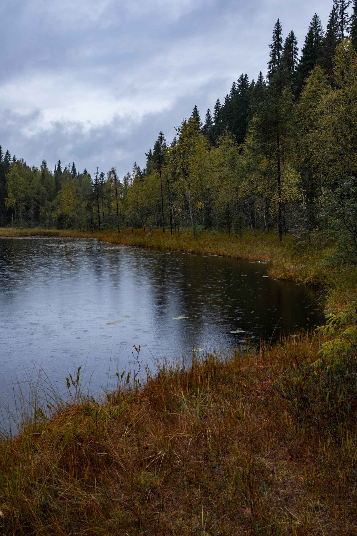 koli-20260909132528-DSCF0029-janine-wenzel.jpg