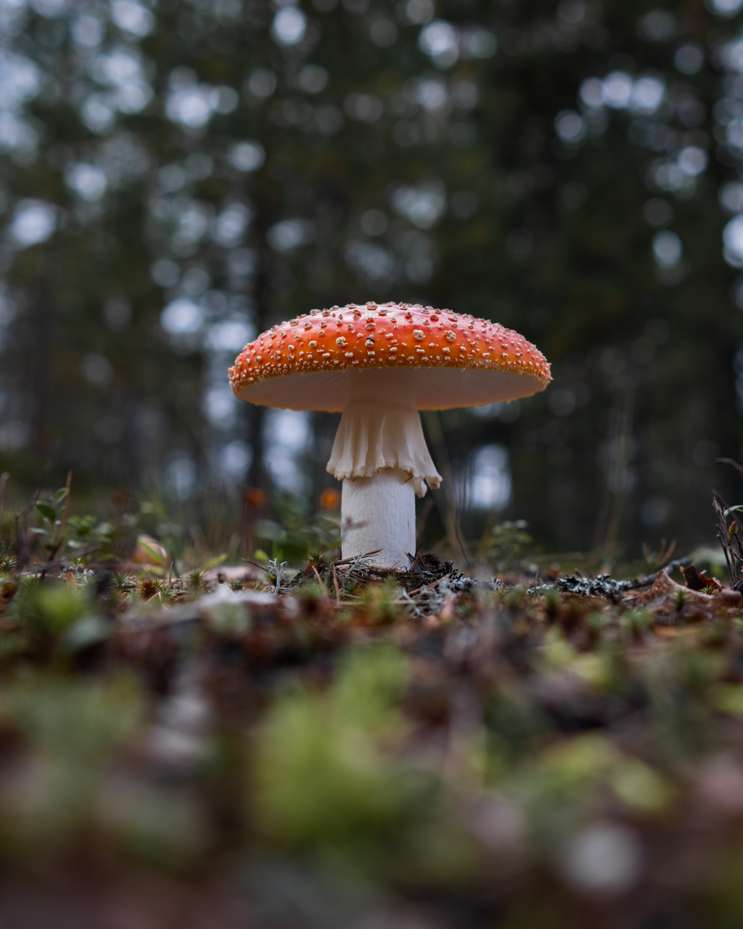 koli-20260910143836-DSCF0063-janine-wenzel.jpg