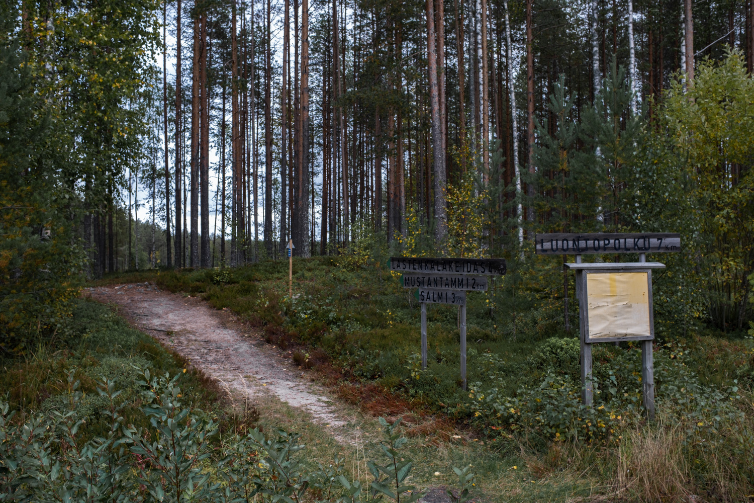 koli-20260910143954-DSCF0065-janine-wenzel.jpg