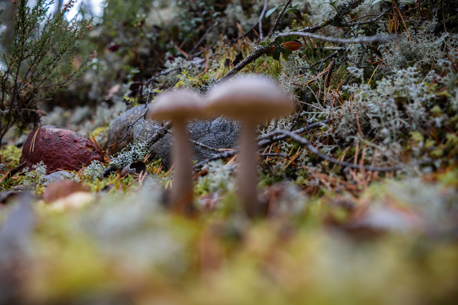 koli-20260910144612-DSCF0071-janine-wenzel.jpg