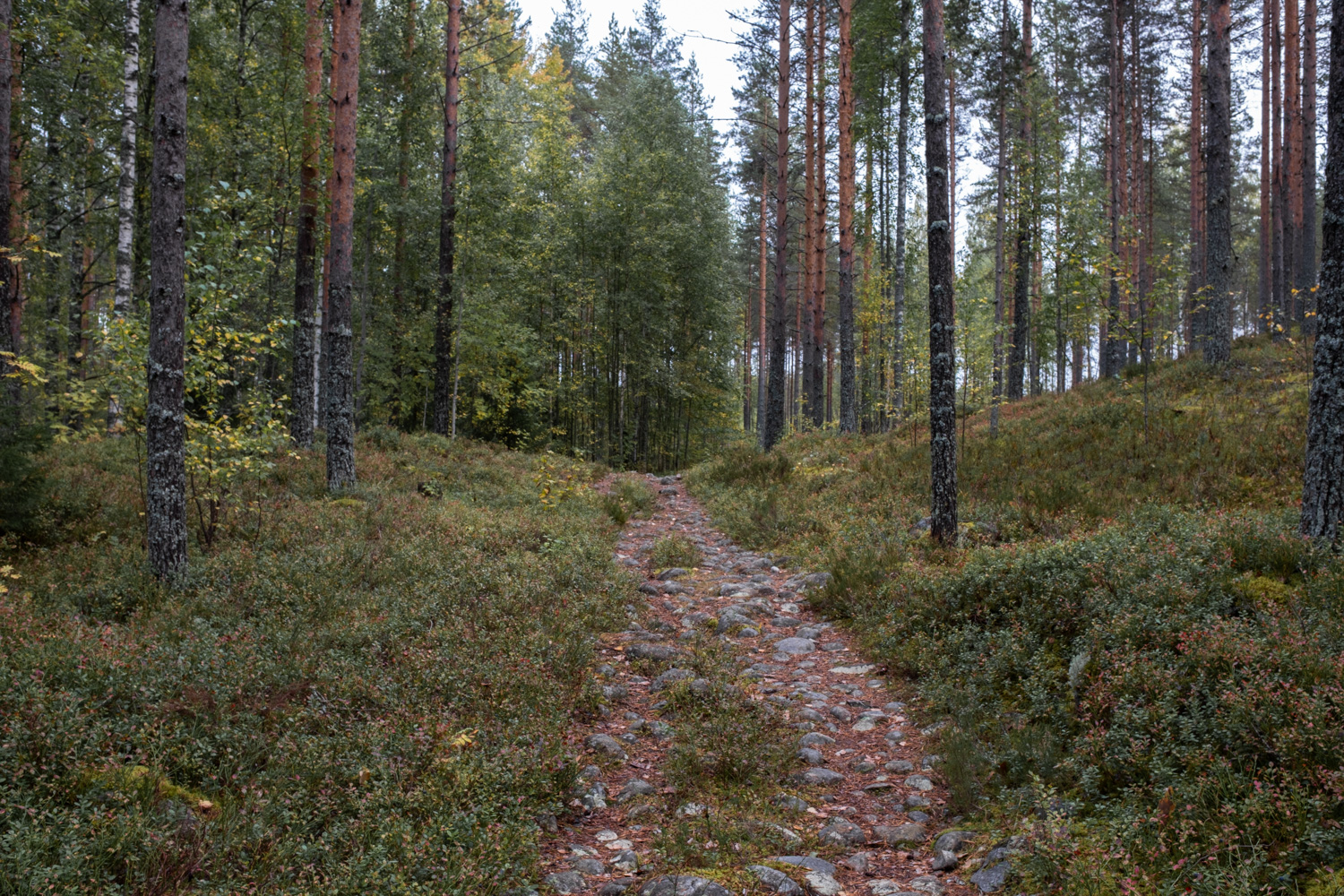 koli-20260910145016-DSCF0073-janine-wenzel.jpg