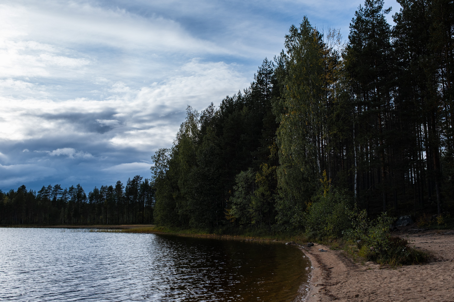 koli-20260910164438-DSCF0085-janine-wenzel.jpg