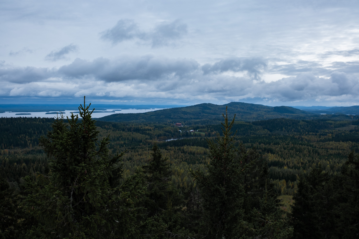 koli-20260912123754-DSCF0120-janine-wenzel.jpg