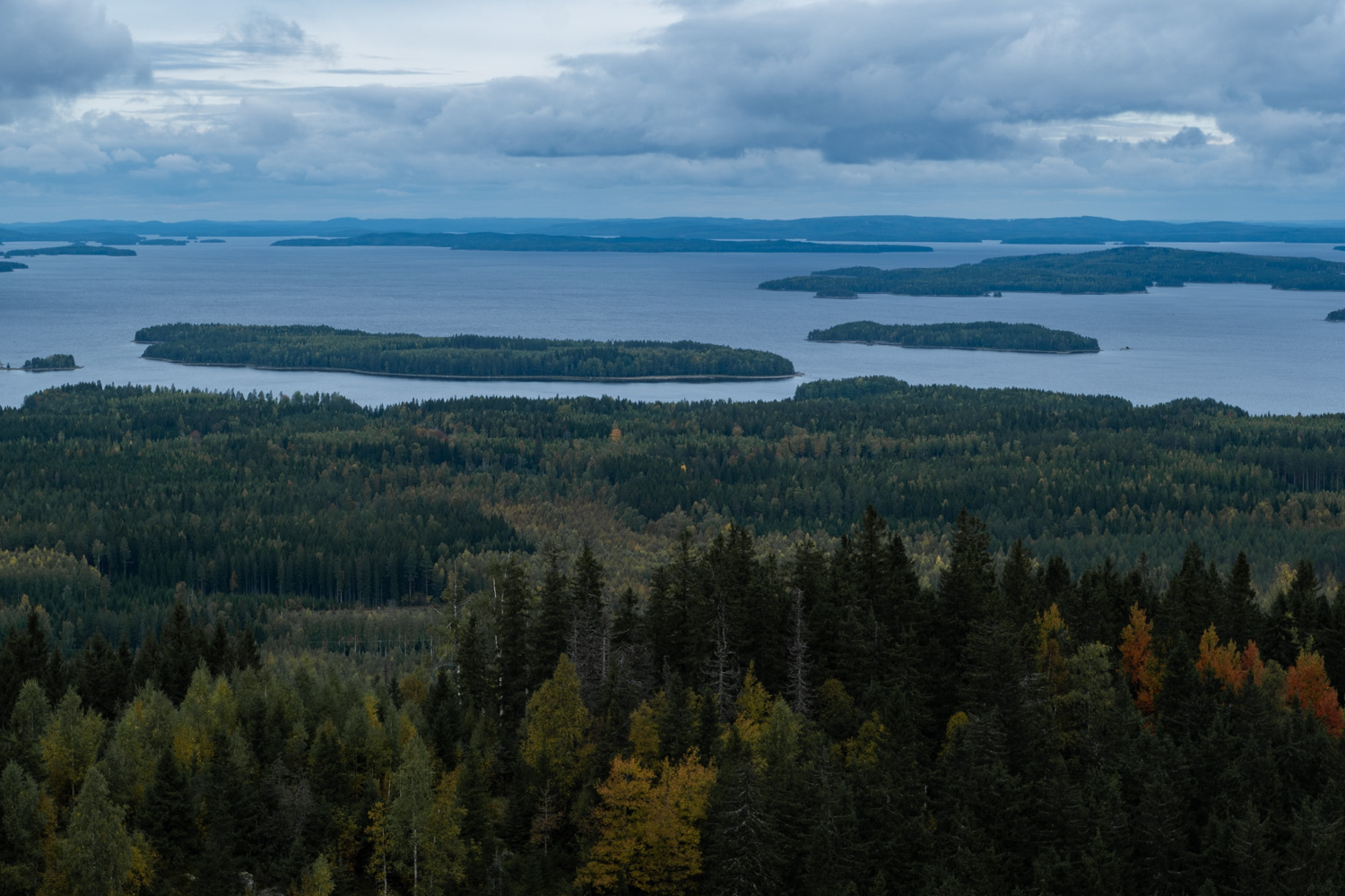 koli-20260912123908-DSCF0121-janine-wenzel.jpg