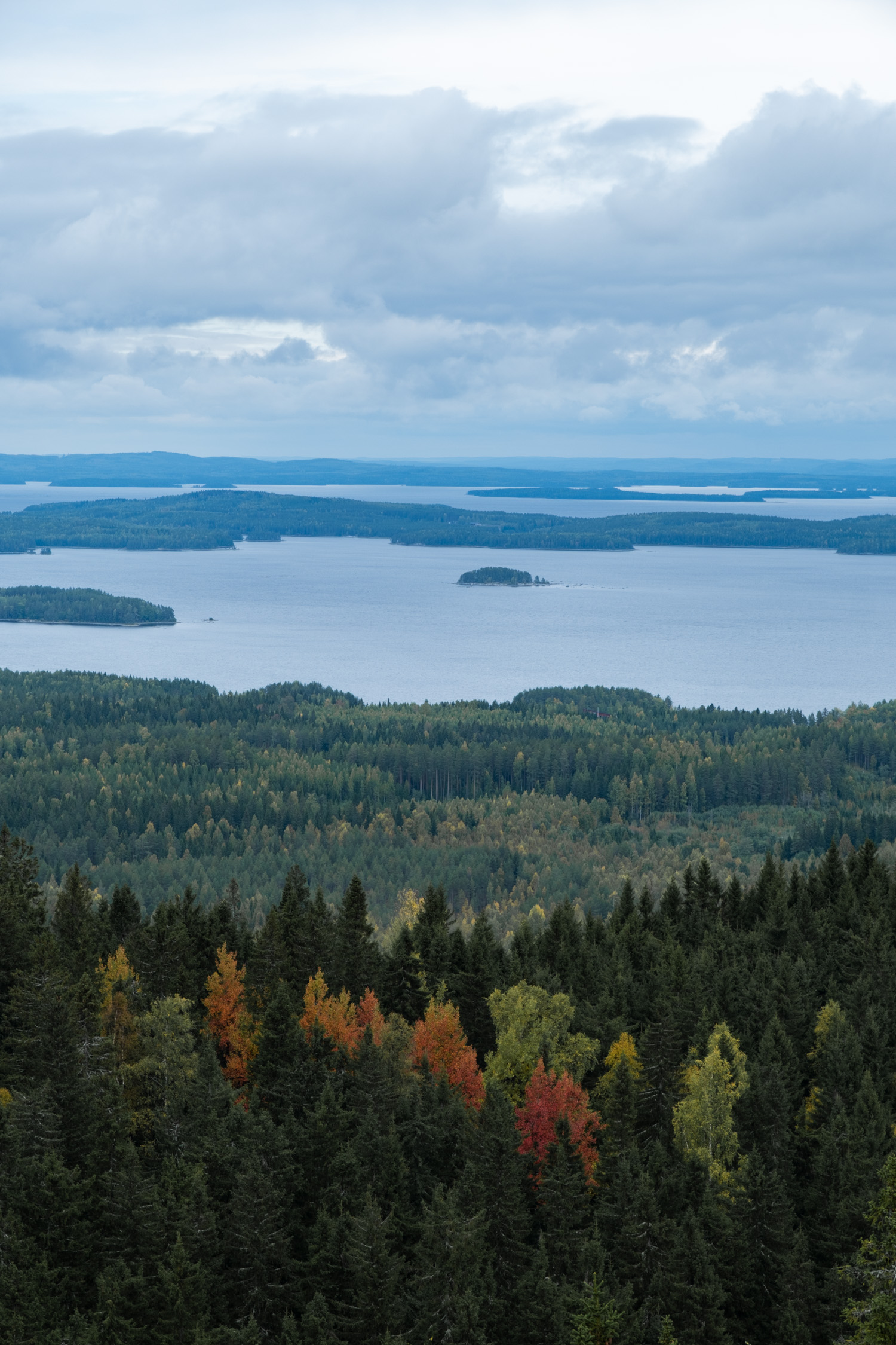 koli-20260912123920-DSCF0122-janine-wenzel.jpg