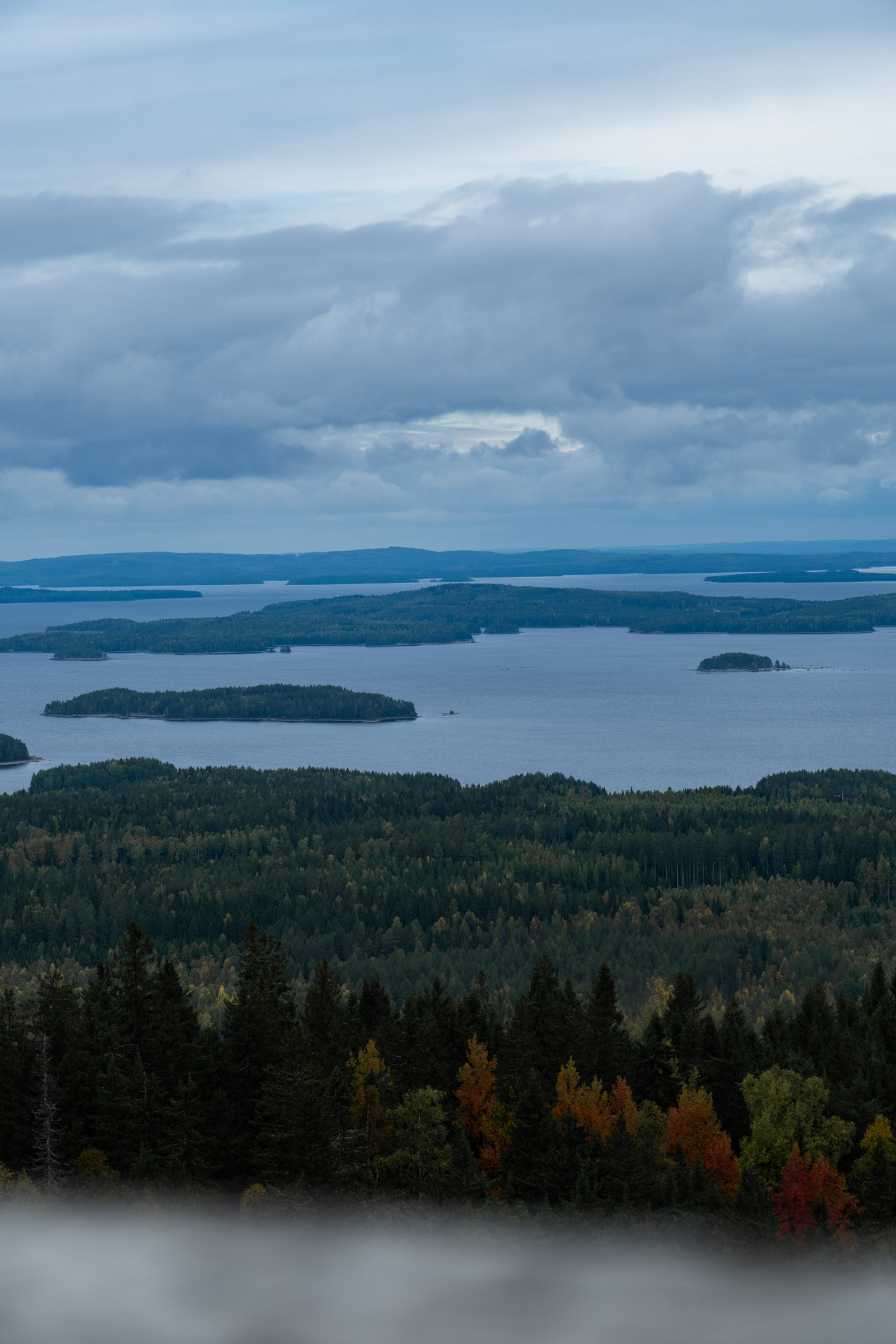 koli-20260912123932-DSCF0124-janine-wenzel.jpg