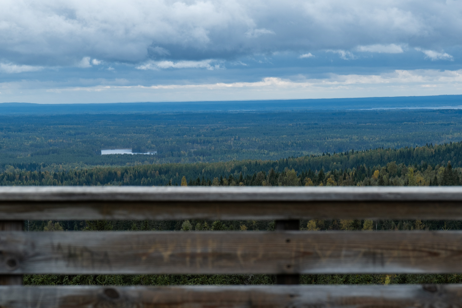 koli-20260912123944-DSCF0125-janine-wenzel.jpg