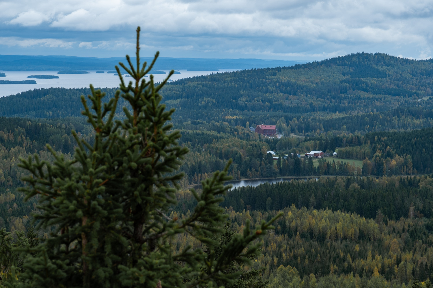 koli-20260912123956-DSCF0126-janine-wenzel.jpg