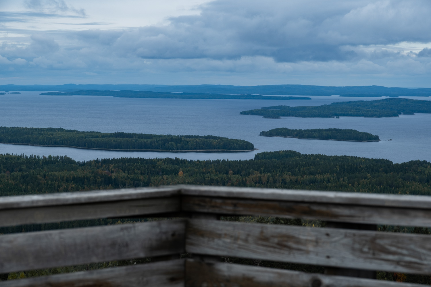 koli-20260912124010-DSCF0127-janine-wenzel.jpg