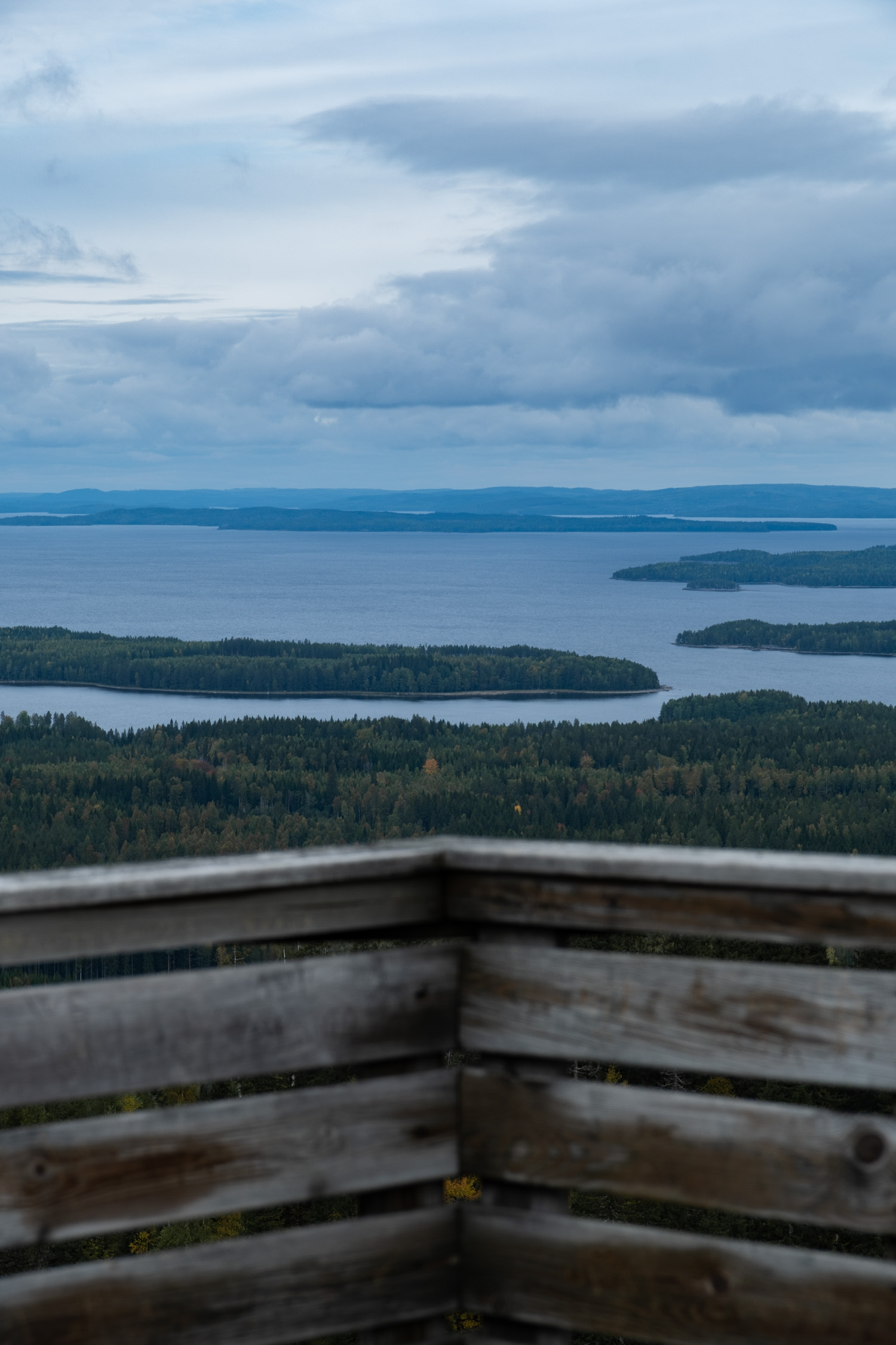 koli-20260912124018-DSCF0128-janine-wenzel.jpg