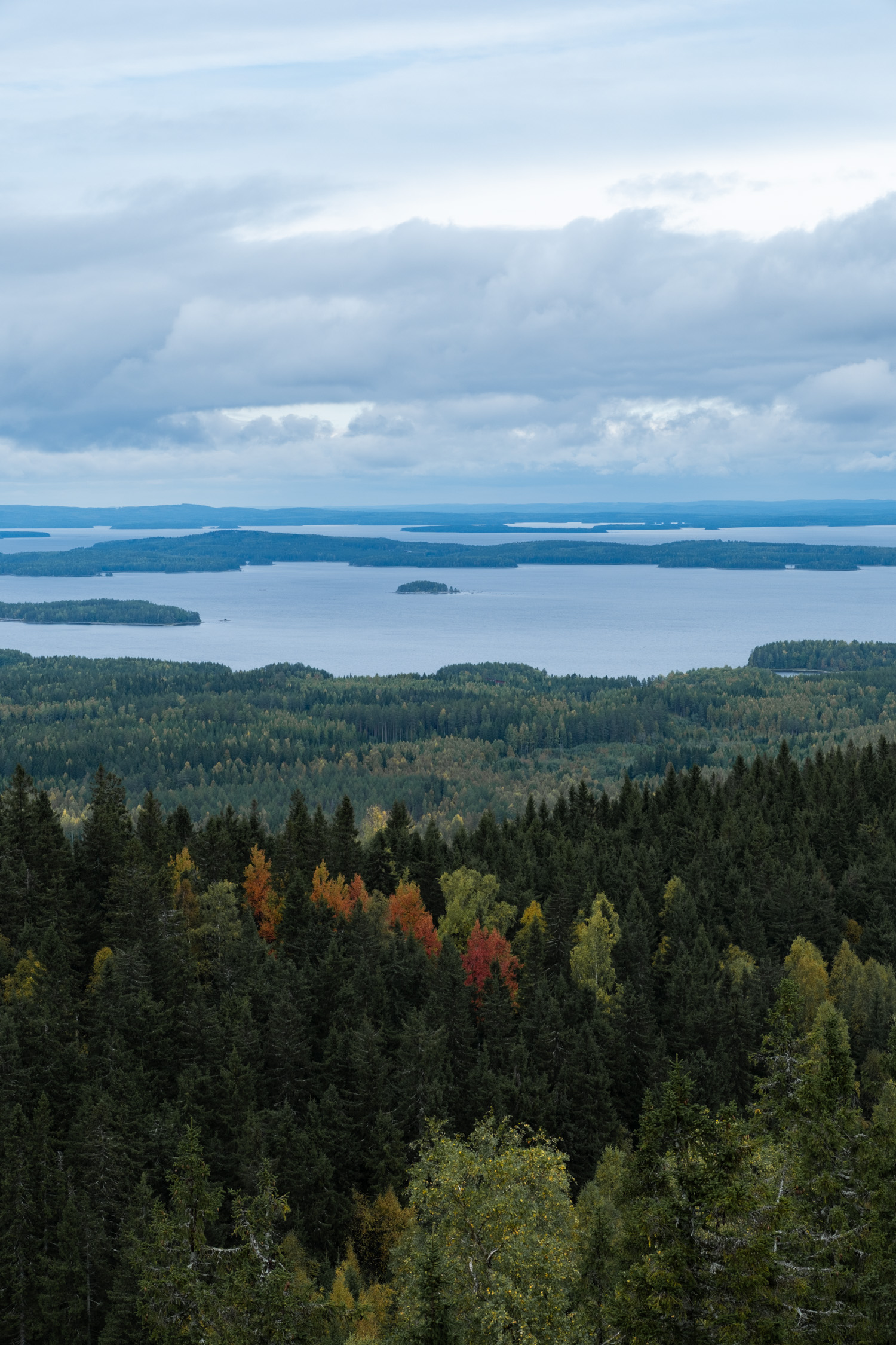 koli-20260912124252-DSCF0129-janine-wenzel.jpg