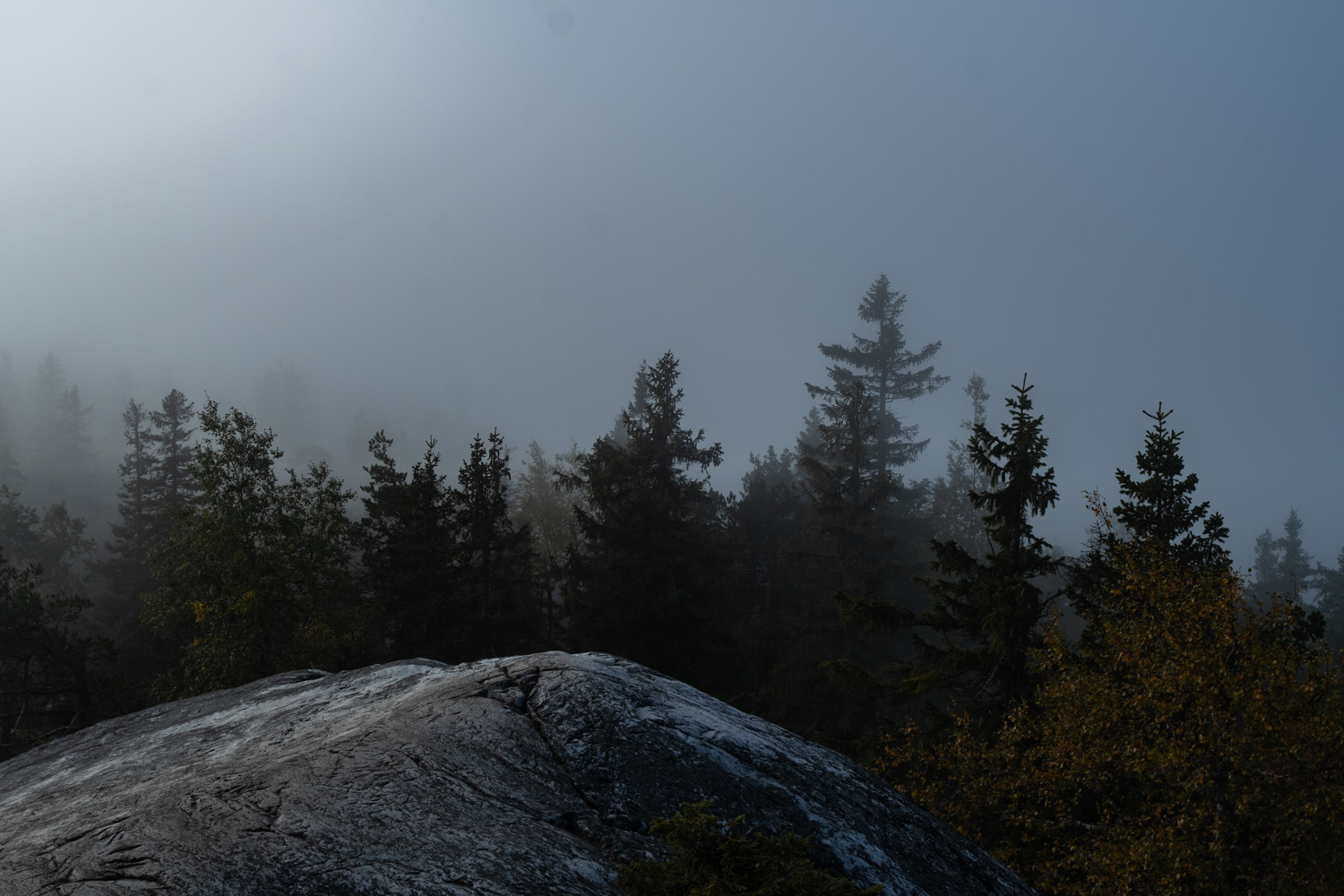 koli-20260913092322-DSCF0220-janine-wenzel.jpg