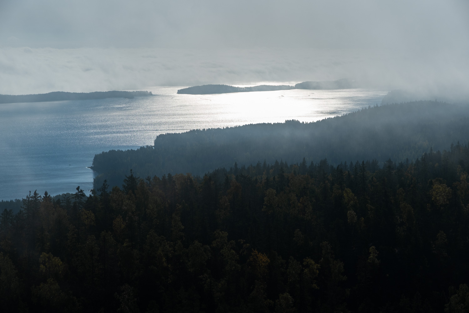 koli-20260913093928-DSCF0280-janine-wenzel.jpg