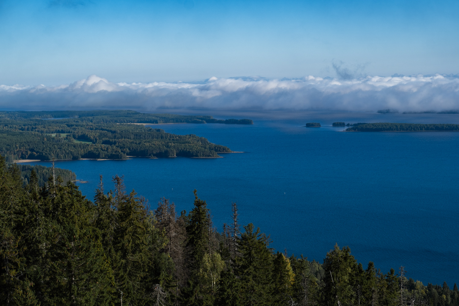 koli-20260913093958-DSCF0282-janine-wenzel.jpg