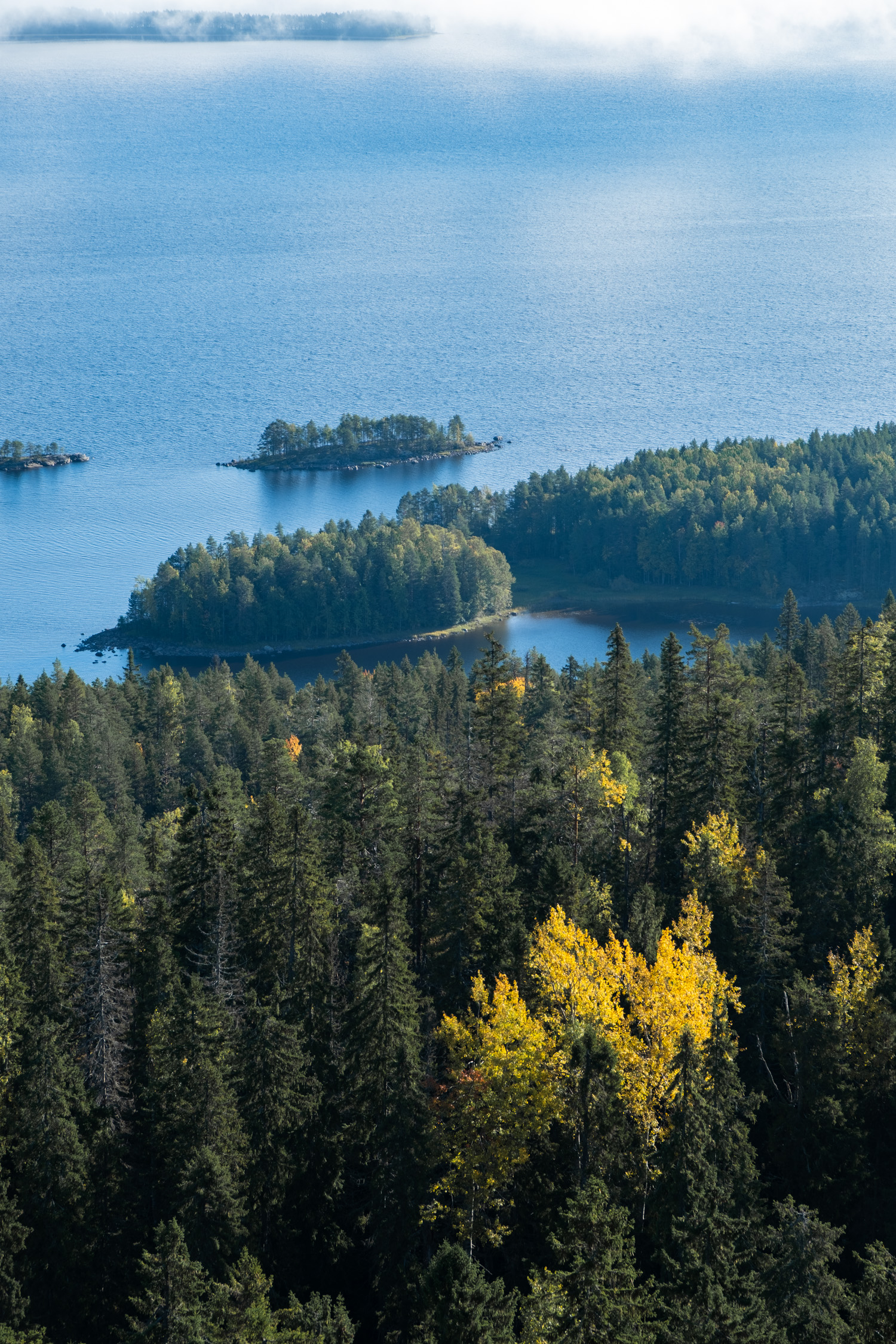 koli-20260913095218-DSCF0287-janine-wenzel.jpg
