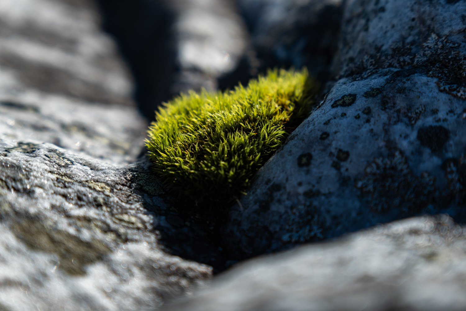 koli-20260913095508-DSCF0291-janine-wenzel.jpg