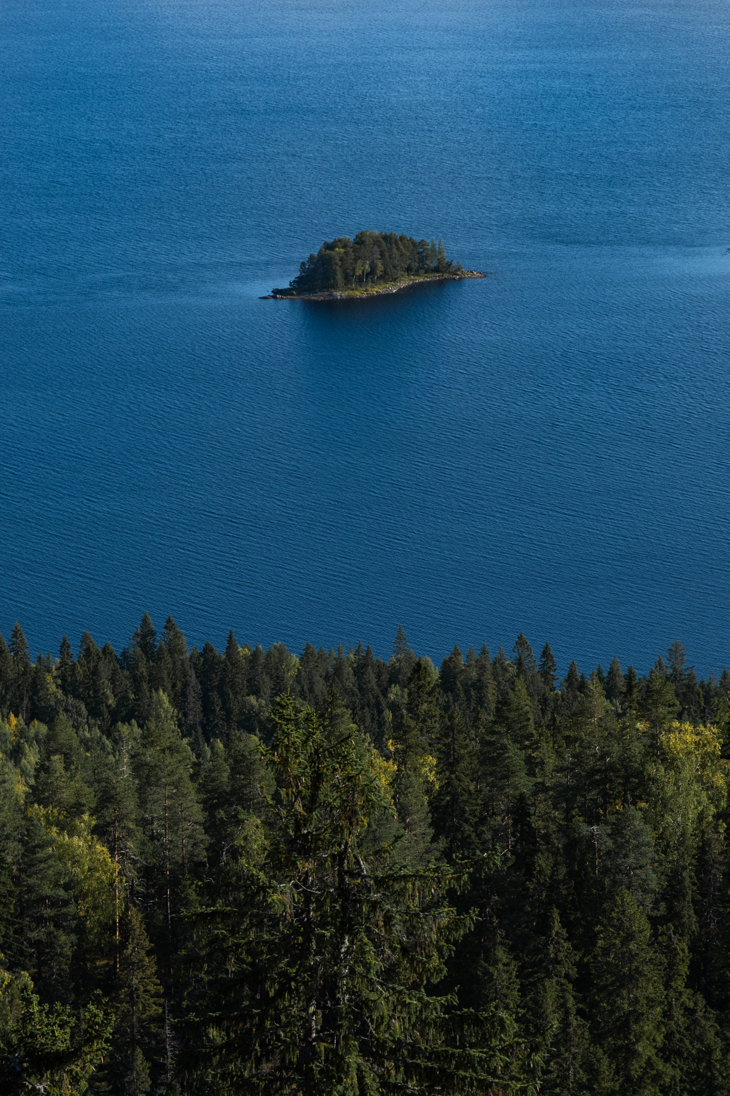 koli-20260913095546-DSCF0292-janine-wenzel.jpg