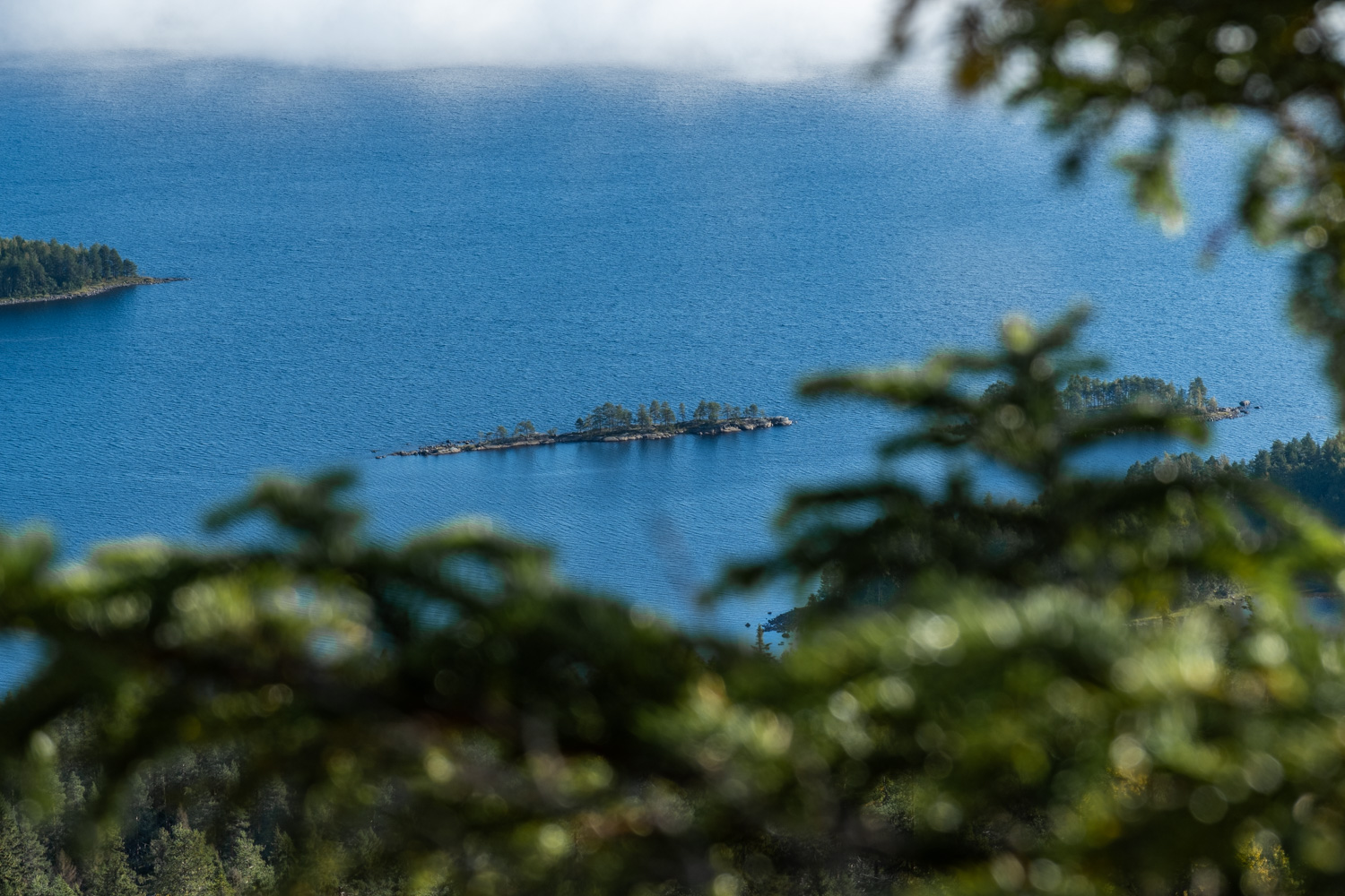 koli-20260913100234-DSCF0302-janine-wenzel.jpg
