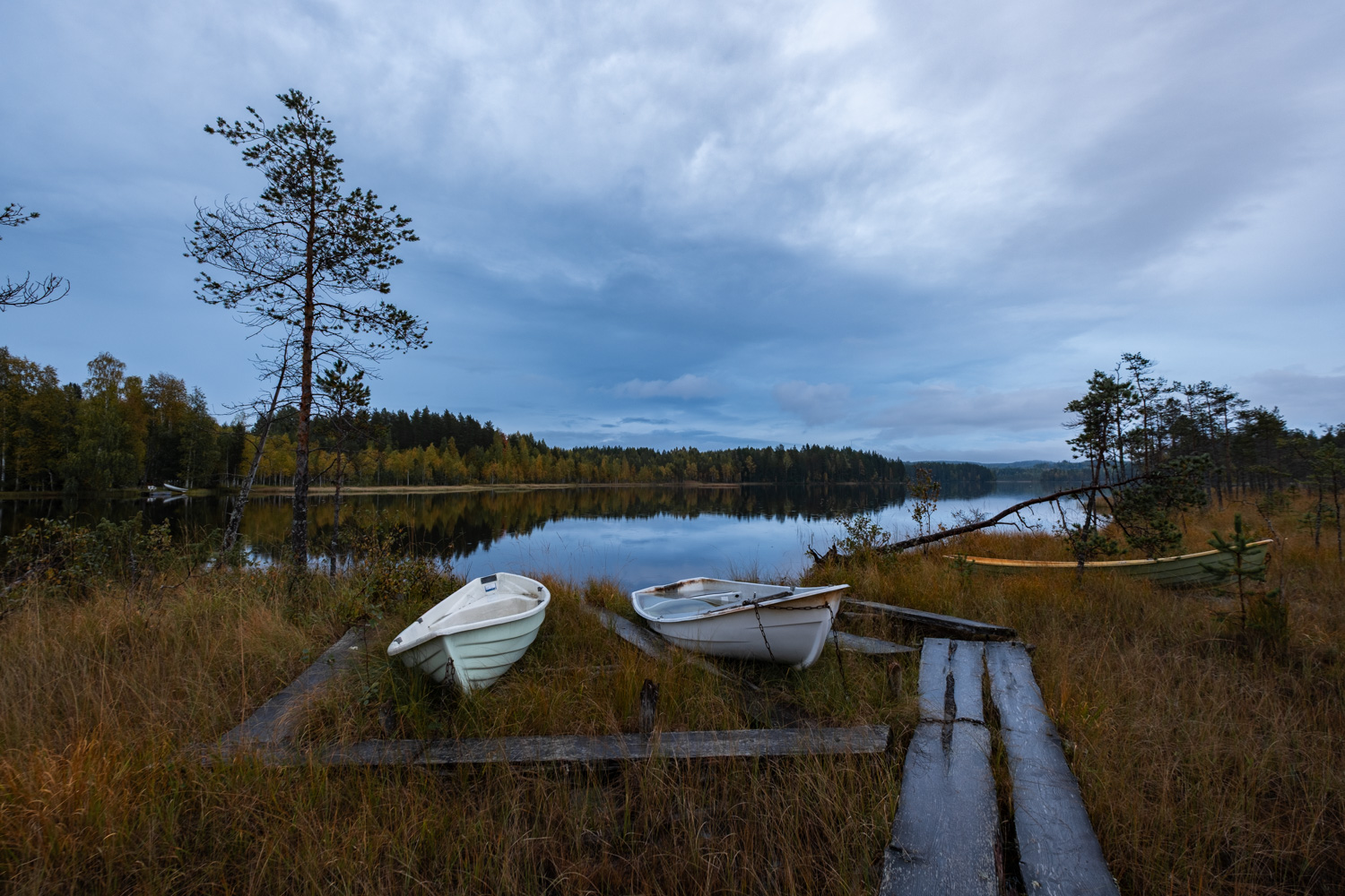 koli-20260913190940-DSCF0337-janine-wenzel.jpg